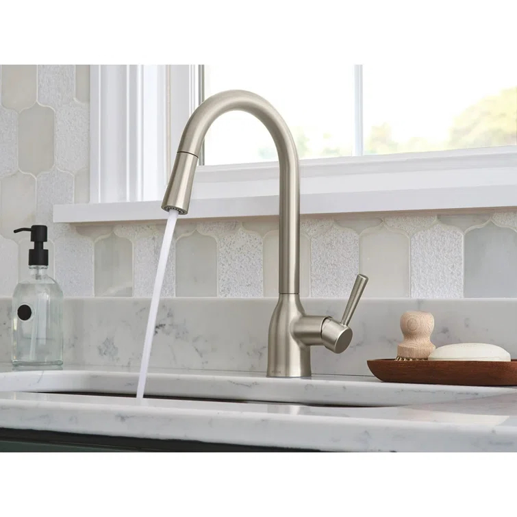 Adler Pull Down Single Handle Kitchen Faucet with Accessories