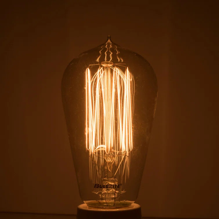 40 Watt Dimmable Nostalgic Edison Squirrel Cage-Style ST18 Light Bulb