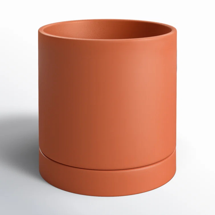 Carlotta Ceramic Pot Planter