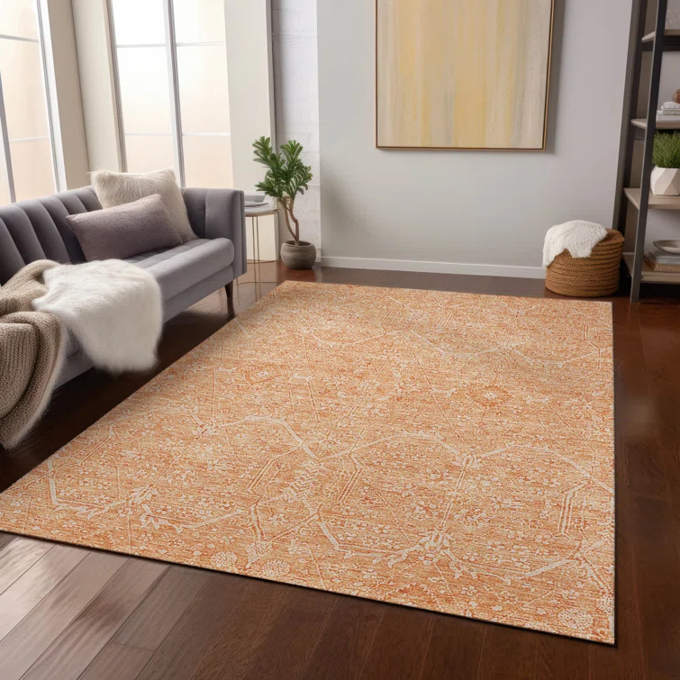 Machine Washable Indoor/Outdoor Claudian ACN1224 Salmon Rug