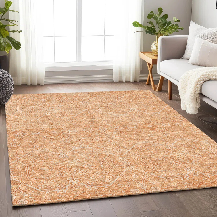 Machine Washable Indoor/Outdoor Claudian ACN1224 Salmon Rug