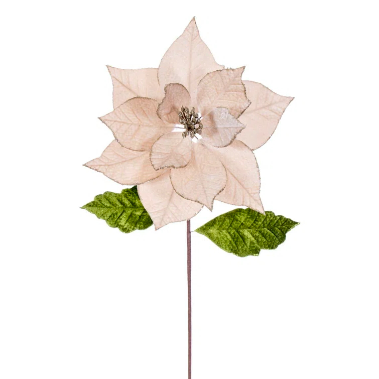 Vickerman 12" x 20" Champagne Classic Velvet Poinsettia Stem. It Includes Four Pieces per Bag.