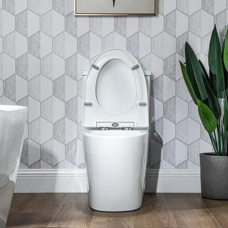 17" Comfort Height StandardToilet, Dual-Flush Modern Elongated One-Piece Toilet with Glazed Surface (Seat lncluded)