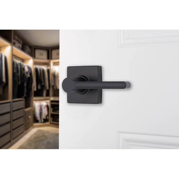 Brinks Mendocino Contemporary Passage Lever