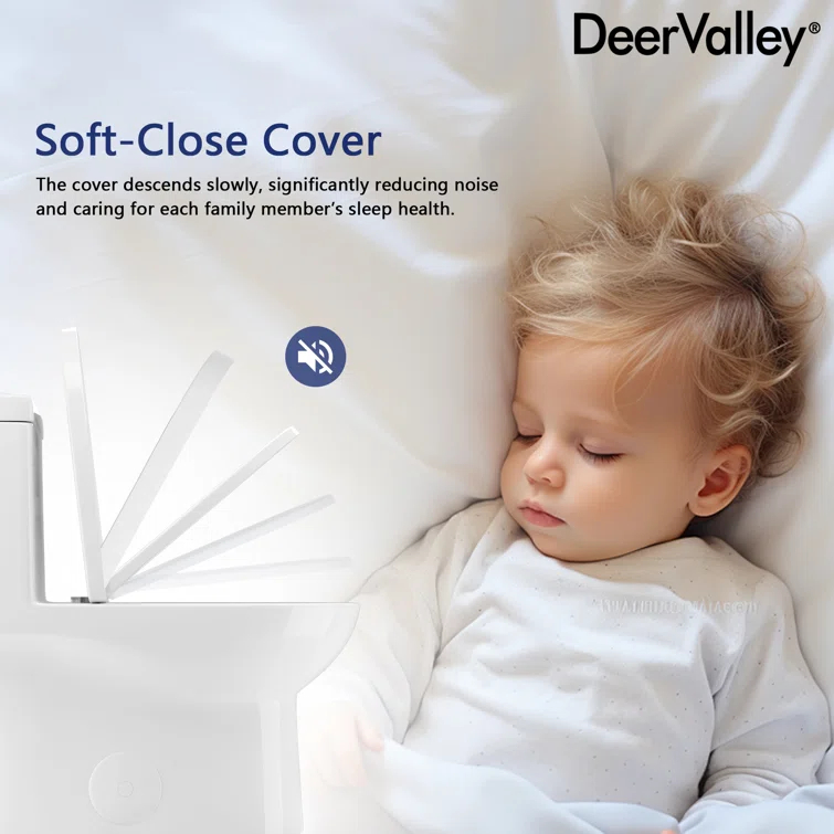 DeerValley Ally Dual-Flush Elongated One-Piece Toilet with Glazed Surface Modern Toilet with Comfort Seat Height  (Seat Included) DV-1F52816-Black