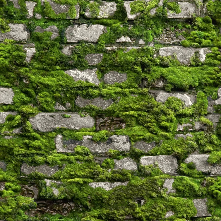 Bricks and More Collection Mossy Stone Wall Wallpaper Roll