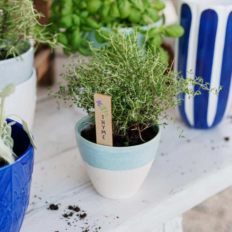 VIETRI Viva Garden Reactive Small Cachepot