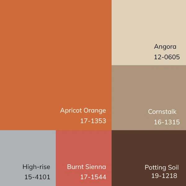 Aaron Hand Tufted Wool Terracotta/Orange/Dusty Sage Rug