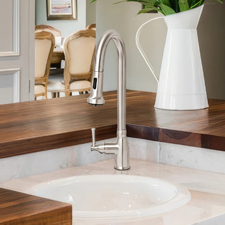 Whitehaus Collection Stainless Steel Single Lever Gooseneck Kitchen Faucet with Pull-down Spray Head