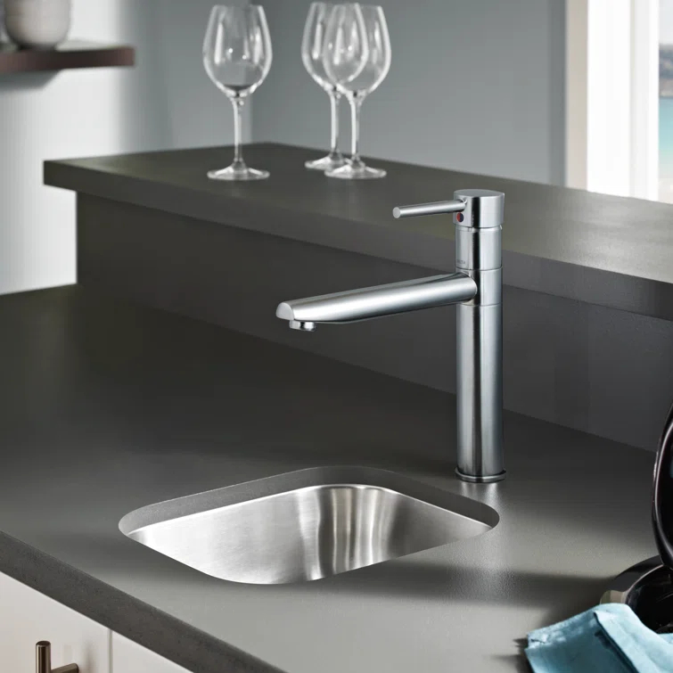 Trinsic Single Handle Kitchen Faucet