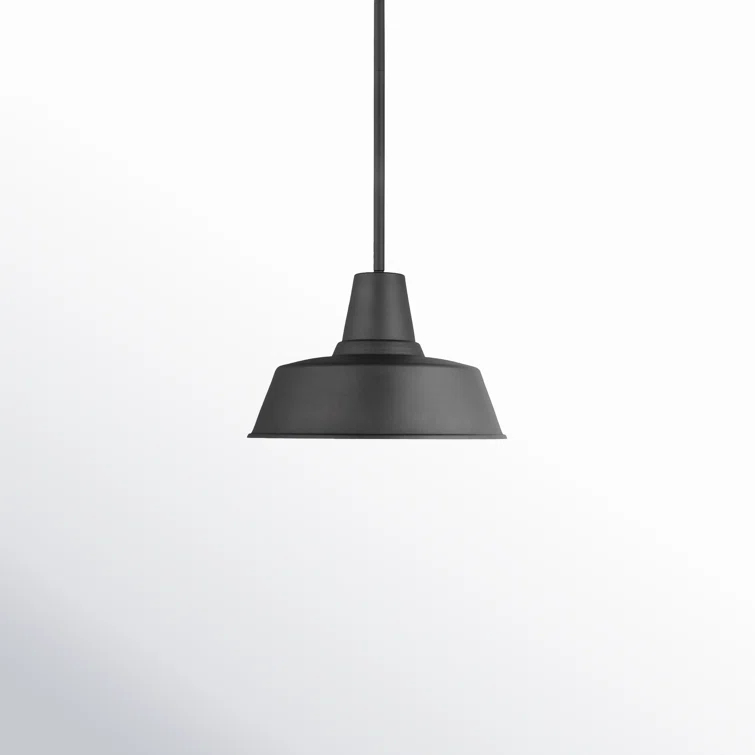 Fisher Outdoor Pendant Light - Black / 14" Dia