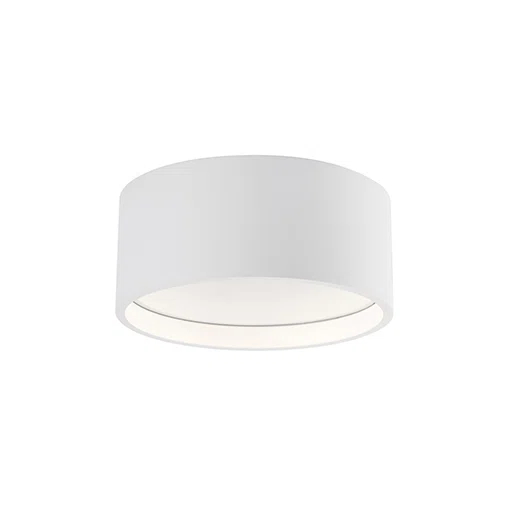Trenton LED Outdoor Flush Mount