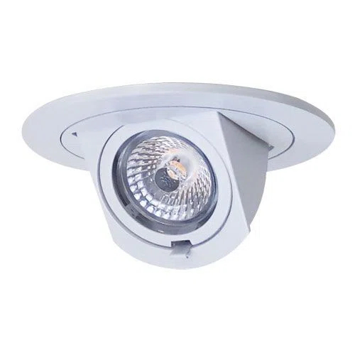 4'' LED Adjustable Recessed Trim