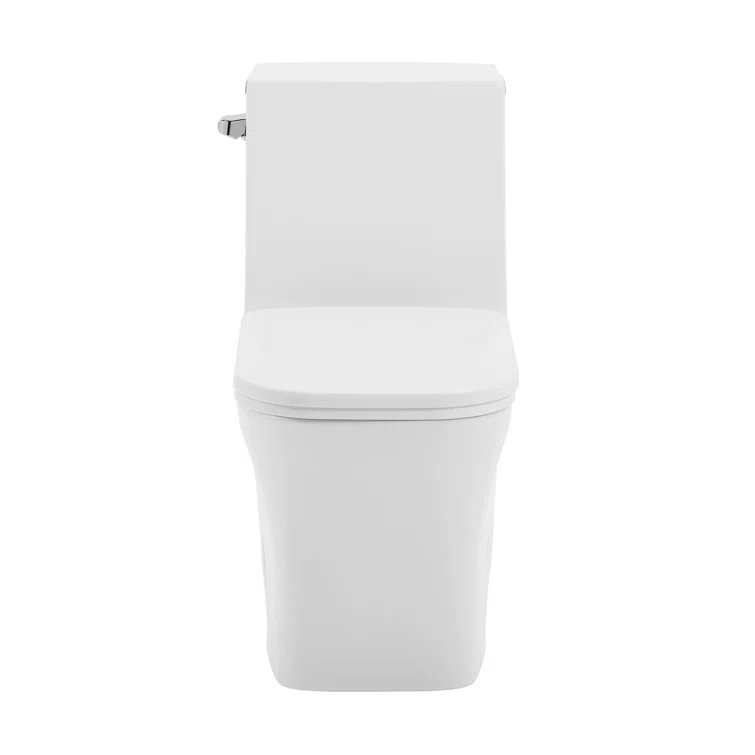 Concorde One-Piece Square Toilet Dual-Flush 1.1/1.6 gpf