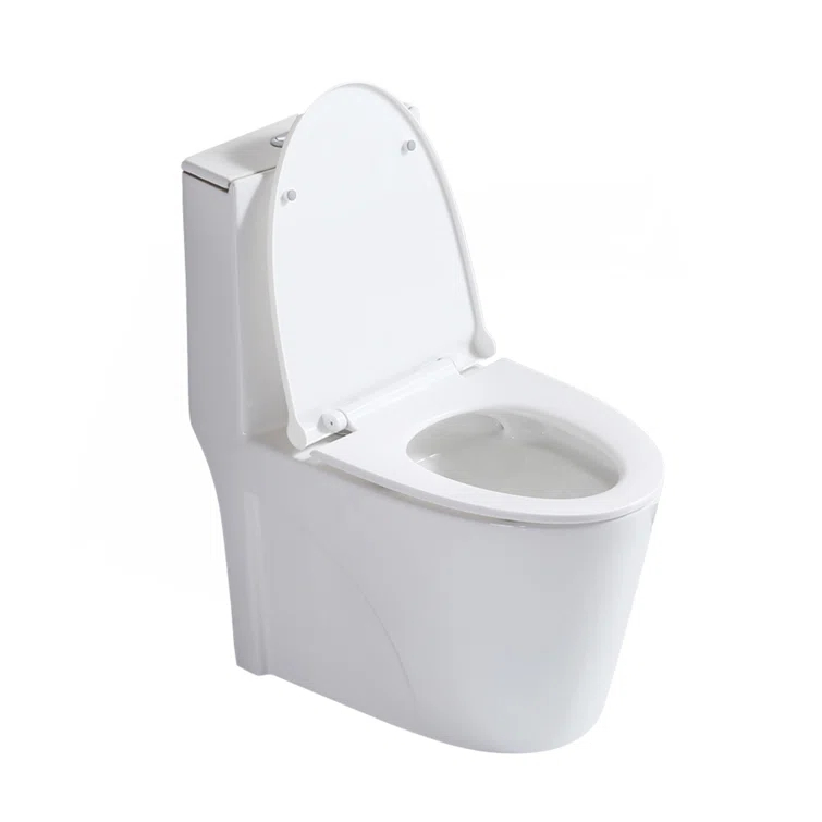 Small Compact One Piece Toilet Dual Flush