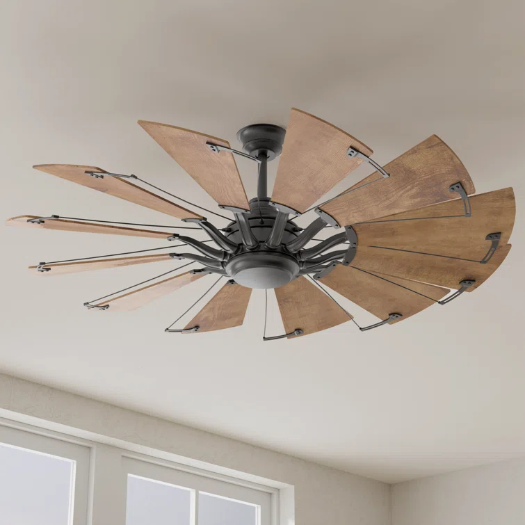 Armando 60'' Ceiling Fan