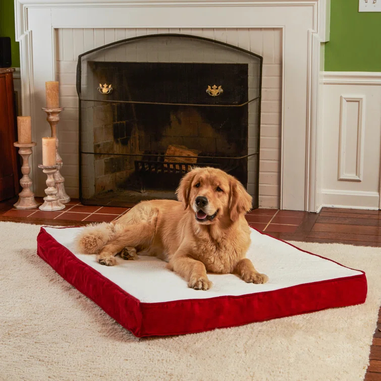 Lindholm Orthopedic Pillow Dog Bed