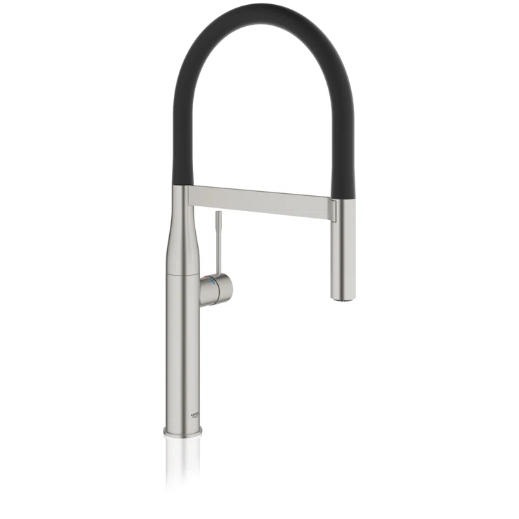 Essence New Single Handle Kitchen Faucet with SilkMove® and with Accessories