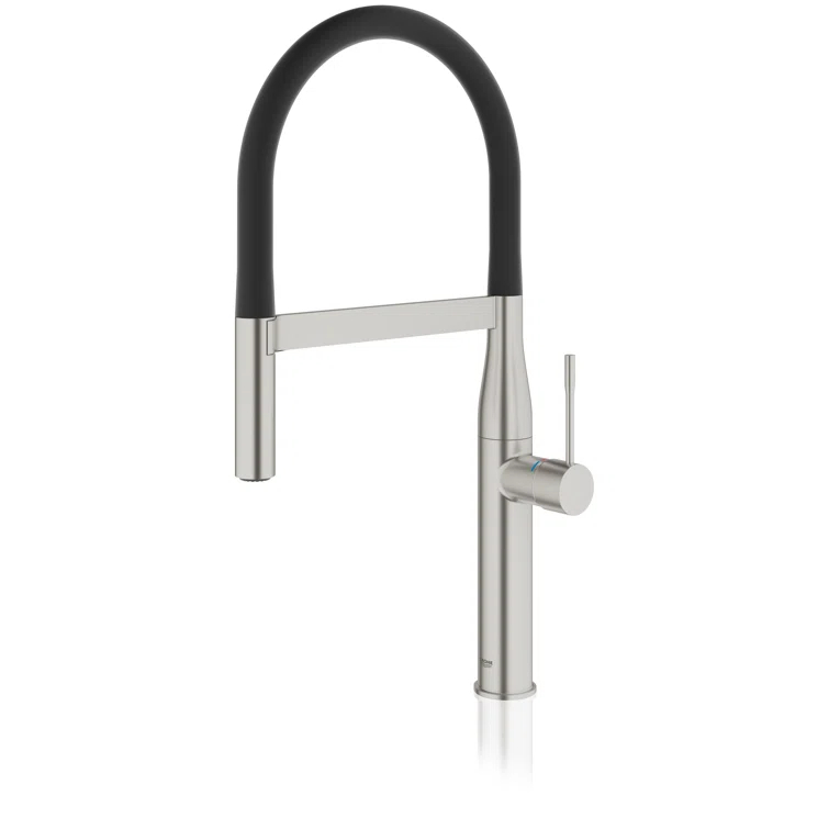 Essence New Single Handle Kitchen Faucet with SilkMove® and with Accessories