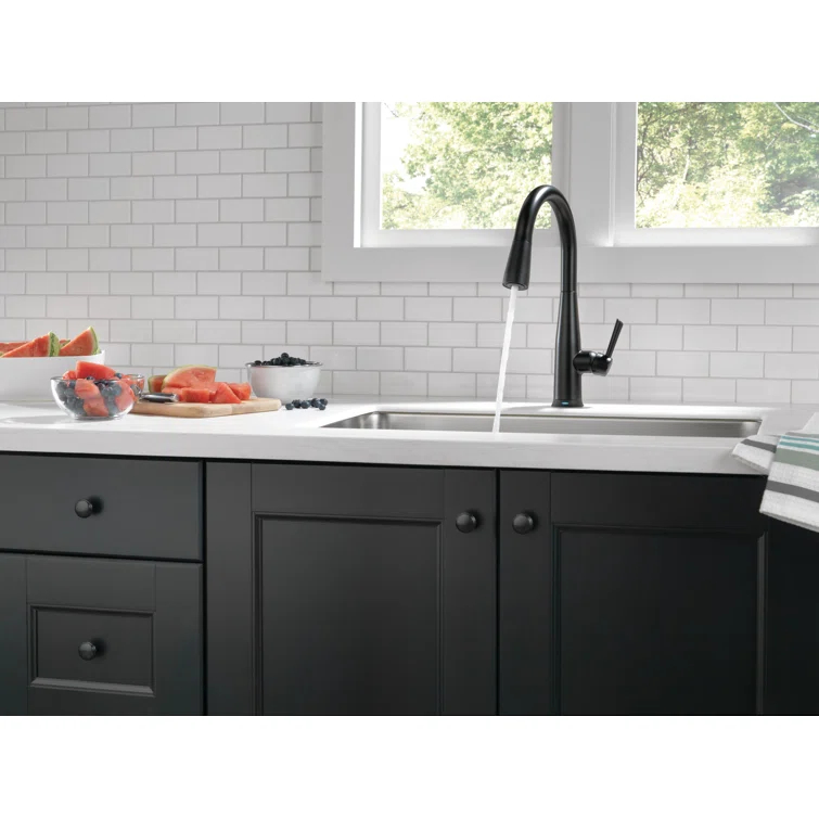 Essa Pull Down Single Handle Kitchen Faucet with MagnaTite Docking and Touch2O Technology