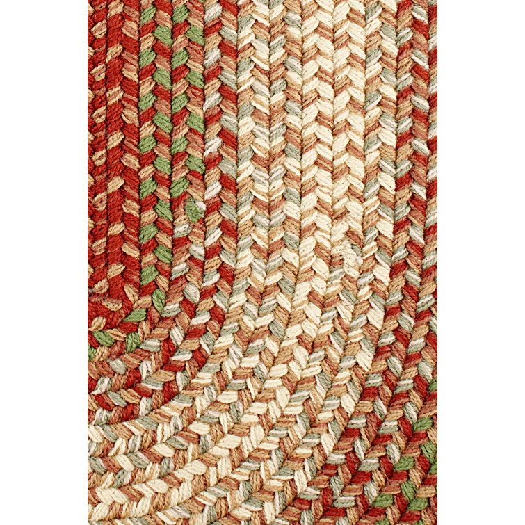 Deserie Geometric Hand Braided Warm Earth Indoor / Outdoor Area Rug