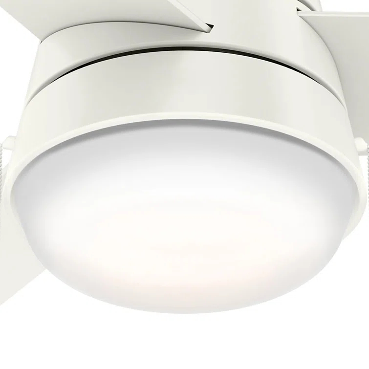 Aker 36" 3 - Blade Standard Ceiling Fan with Lights and Pull Chains