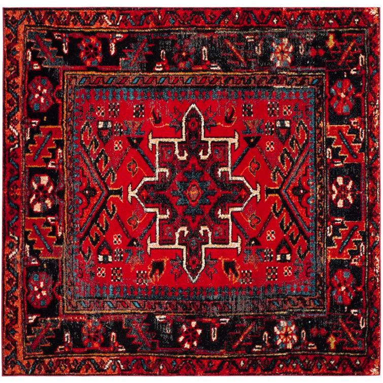 Amaniya Vintage Hamadan Performance Southwestern Rug