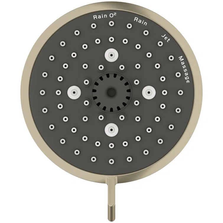 Tempesta Fixed 4-Setting Shower Head Rain O2 Rain Massage Jet Settings