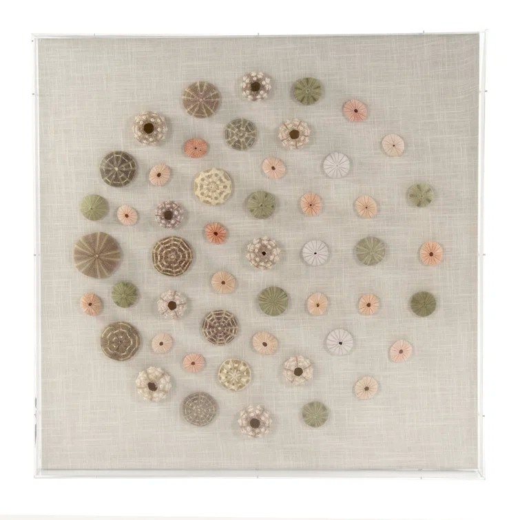 Handmade Coastal Shells Acrylic Shadowbox Wall Art