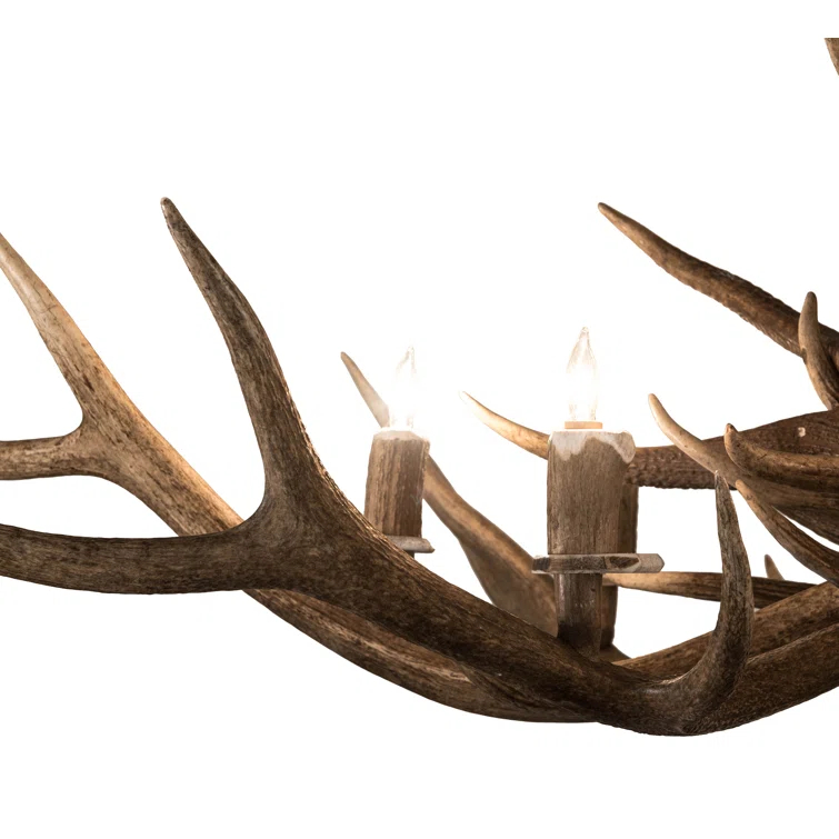 Rustic Lodge 8 - Light Antler Classic / Traditional Chandelier