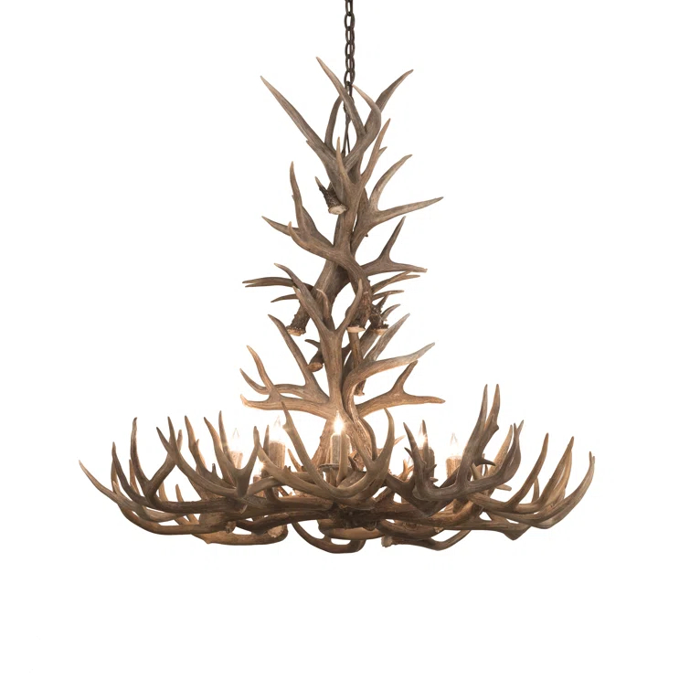 Rustic Lodge 8 - Light Antler Classic / Traditional Chandelier