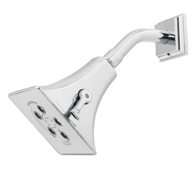 Rainier 2.0 GPM Adjustable Shower Head