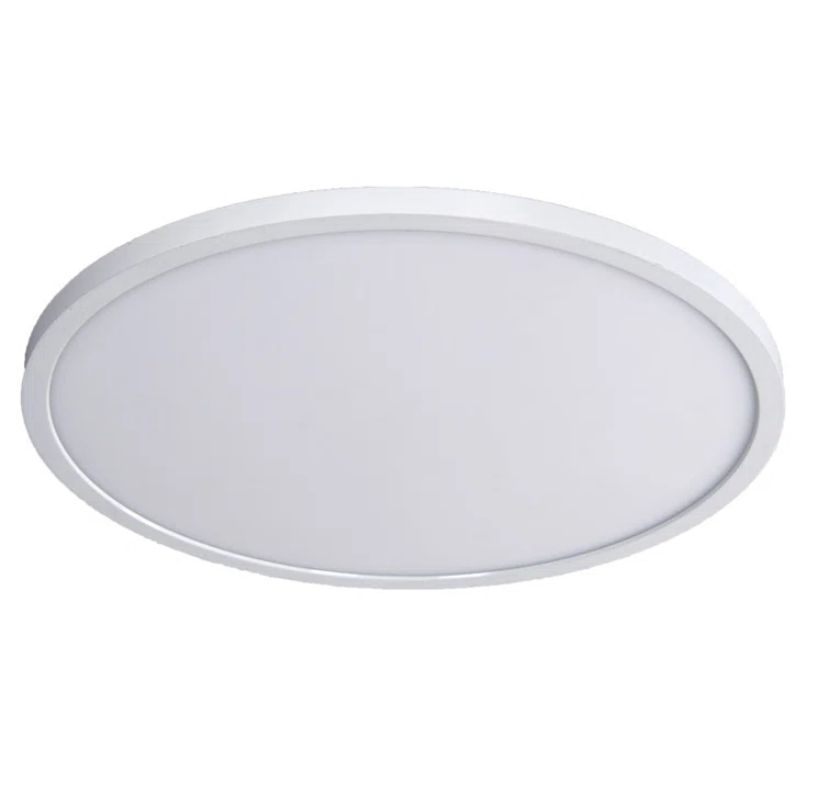 Simple Circle Dimmable LED Flush Mount Light