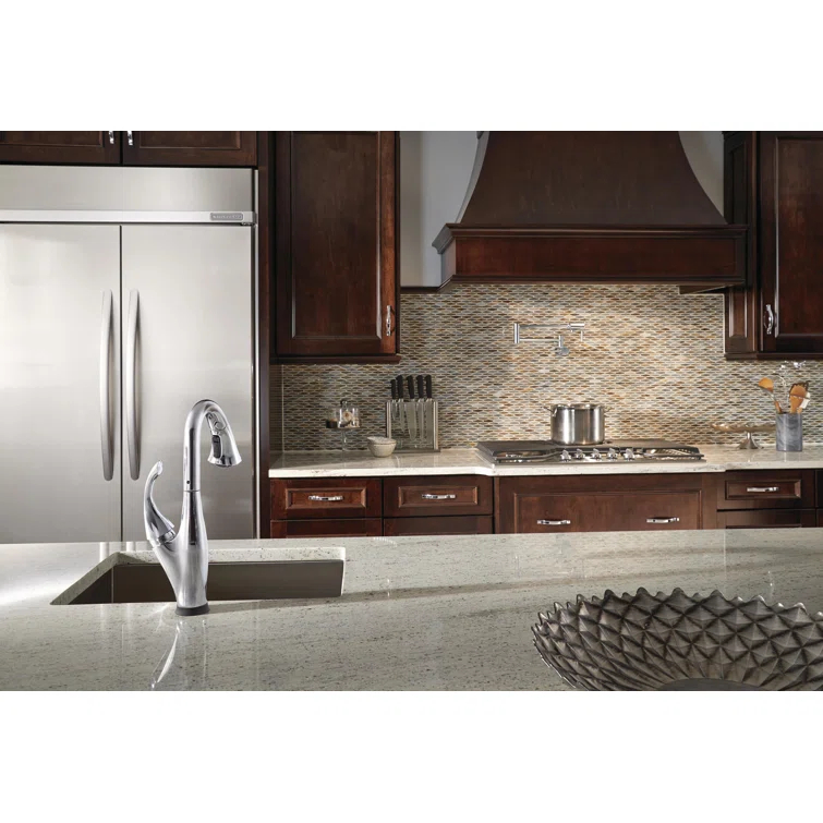 Contemporary Pot Filler Faucet, Wall Mount Pot Filler Kitchen Faucet