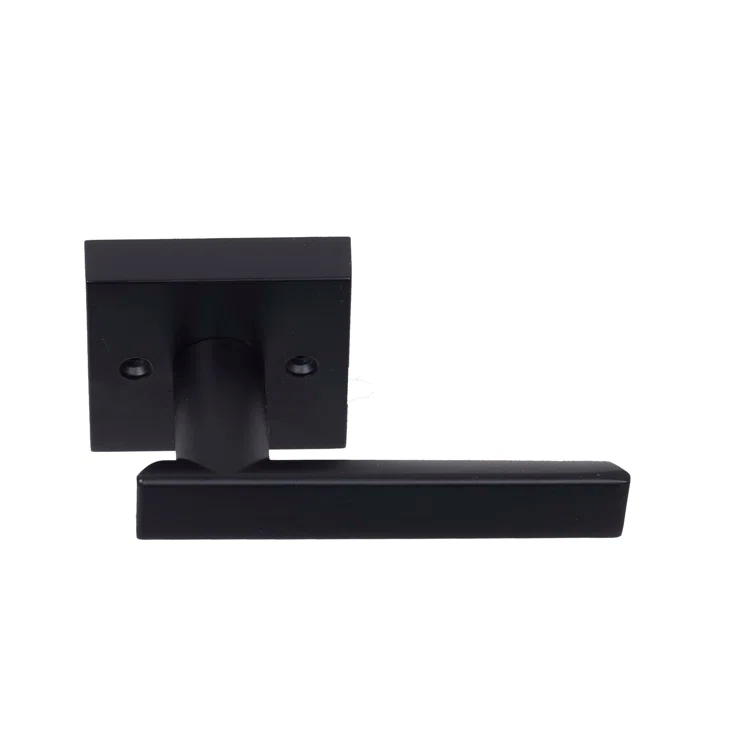 Santa Cruz Single Dummy Door Lever