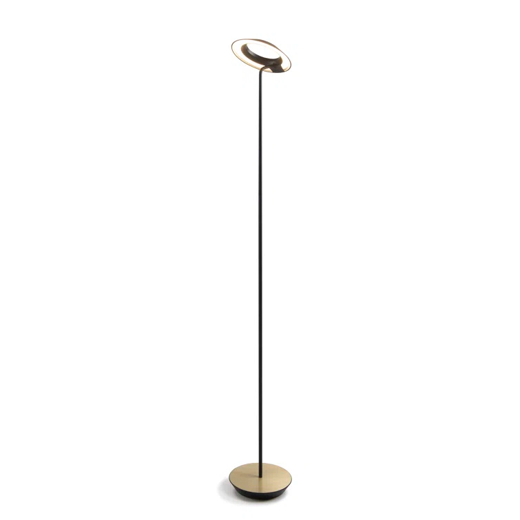 Royyo 45.5'' LED Floor Lamp