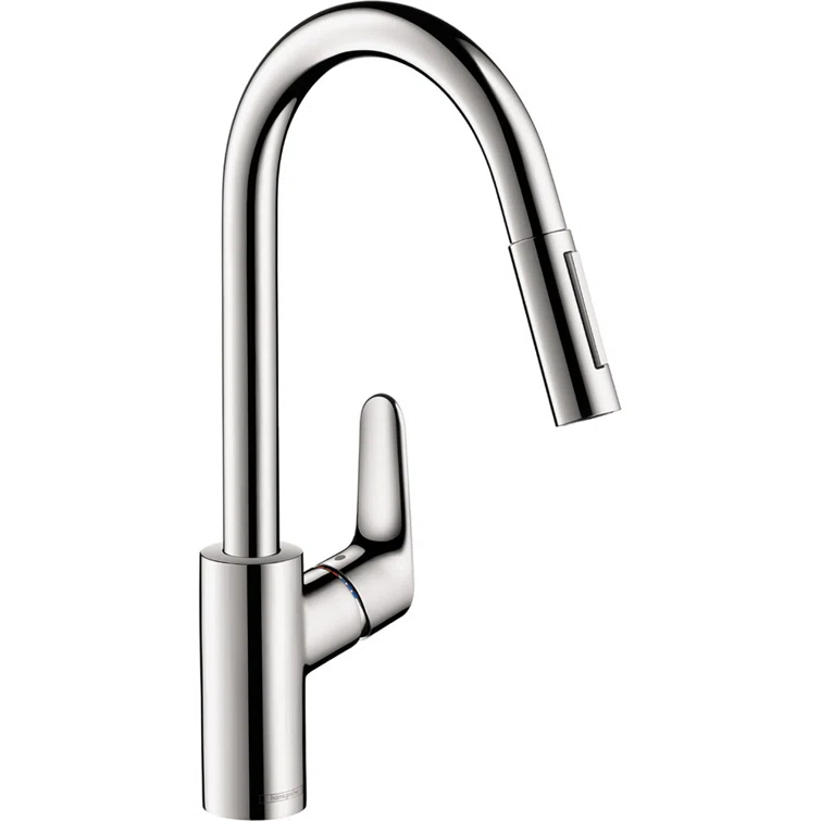Focus Single Handle Kitchen Faucet