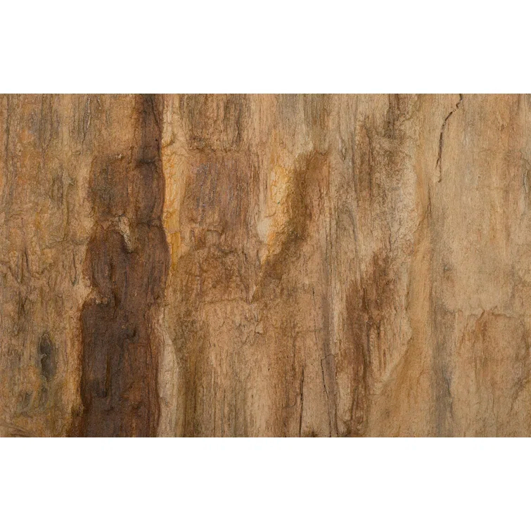 Cast Naturals Petrified Wood Wall Décor