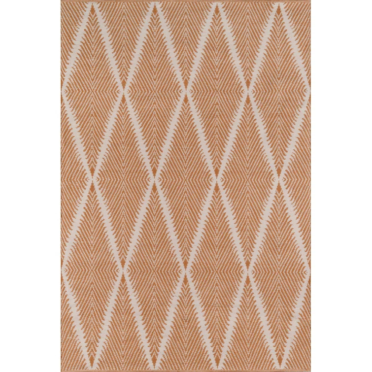 River Geometric Indoor / Outdoor Rug