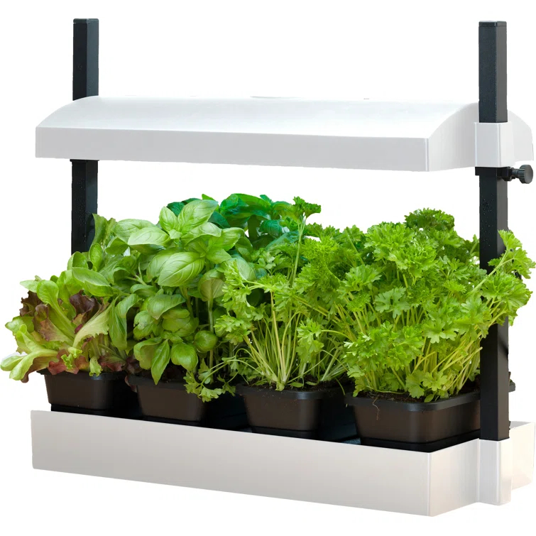 Sunblaster Growing Kit