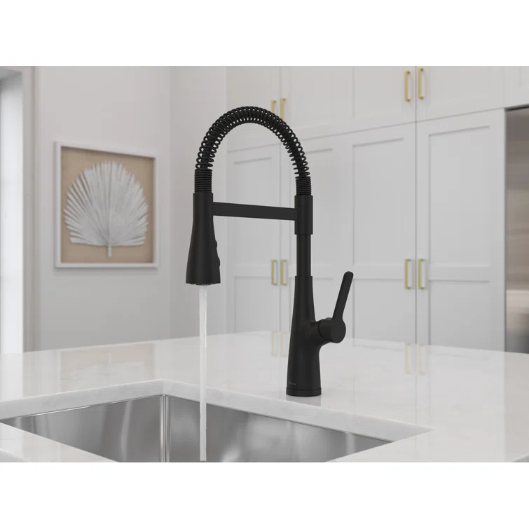 Pfister LG529NECB Neera Culinary Look Pull Down Single Handle Kitchen Faucet