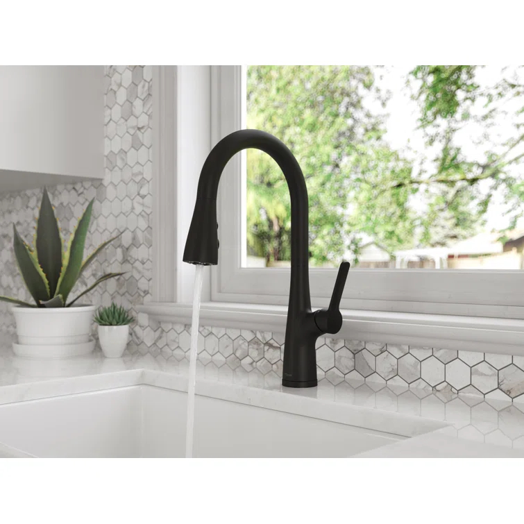 Neera Pull Down Single Handle Kitchen Faucet