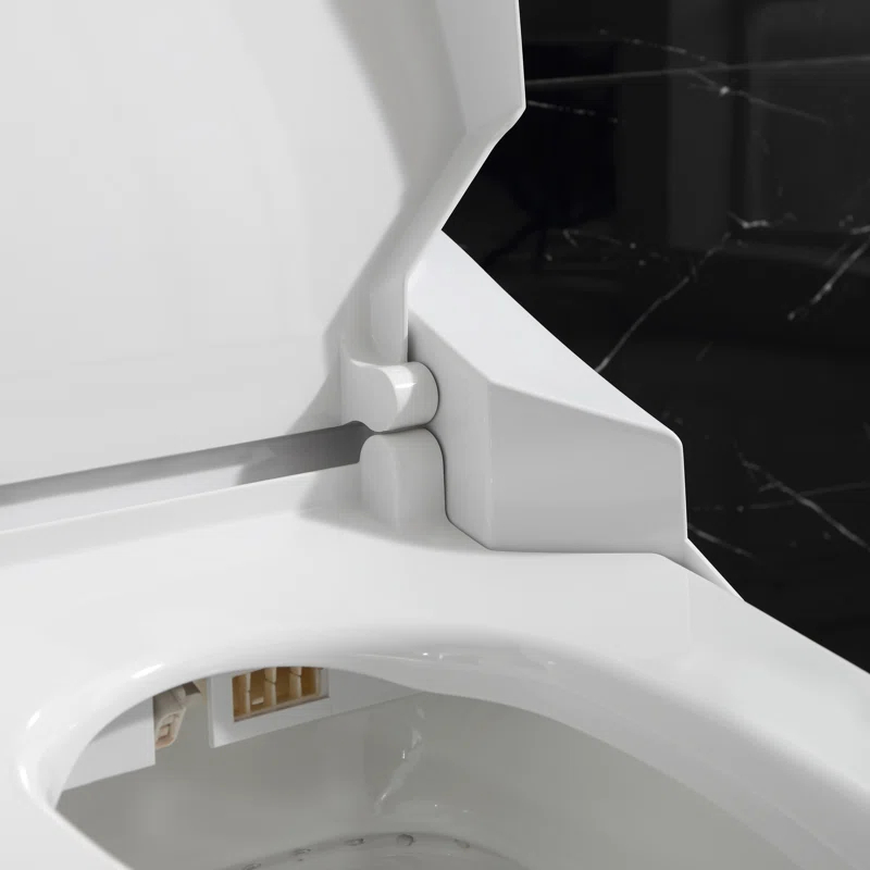 Ove Decors Virtuoso Tank Smart Toilet 1.28 GPF Elongated Bidet Toilet (Seat Included)