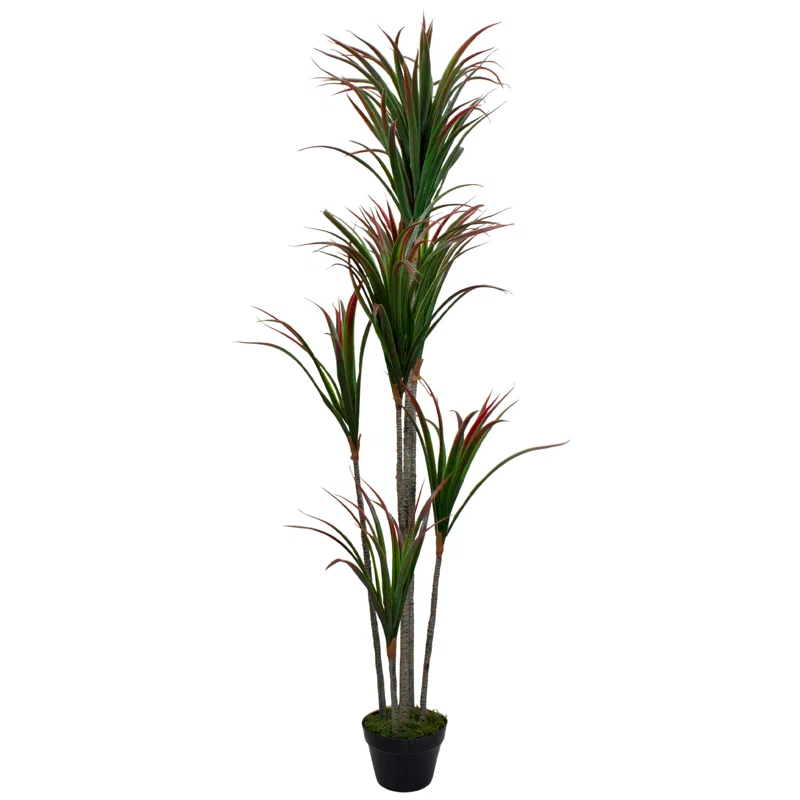 Northlight Seasonal 5.5' Green Artificial Potted Dracaena Marginata Plant