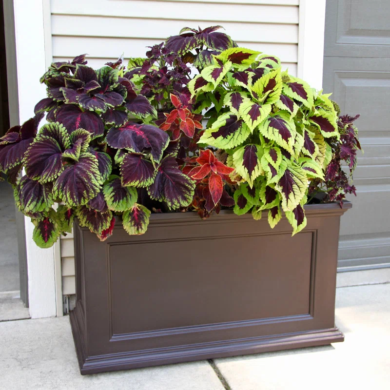 Winston Porter Anastasiya 20"x36" Resin Planter with Water Reservoir