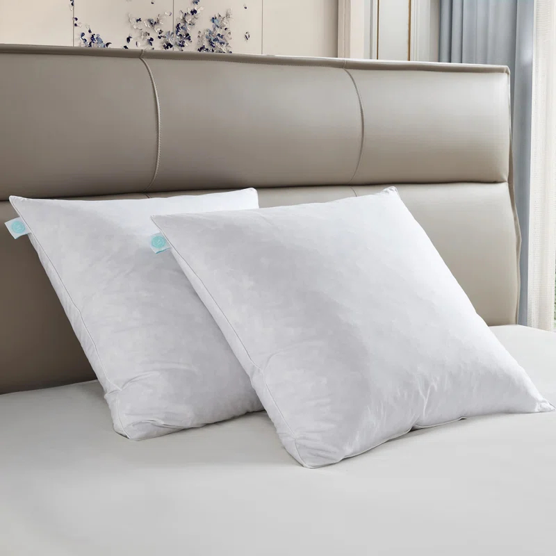 Martha Stewart 20X20'' Decorative Feather Pillow Insert (2PK) - Medium Firm (Set of 2)