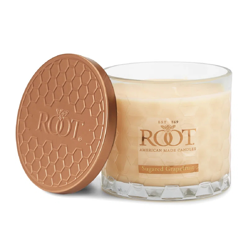 Root Candles Sugared Grapefruit Scented Jar Candle