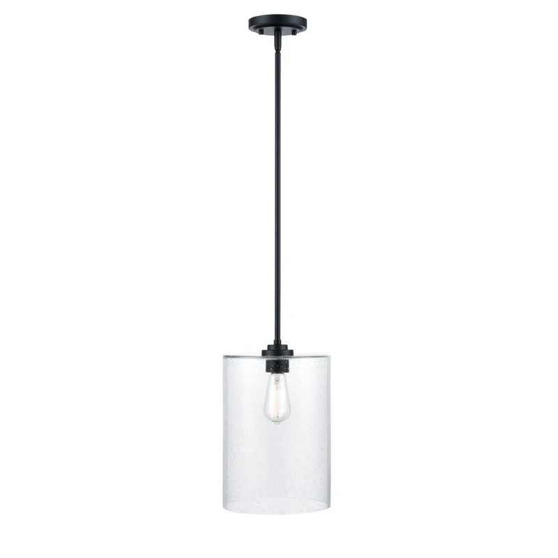 1 - Light Unique/Statement Pendant