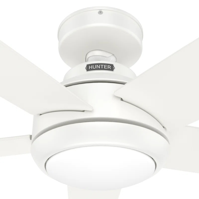 52" Zayden 5 - Blade Ceiling Fan With Lights and Remote