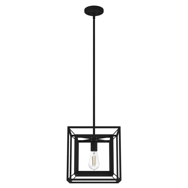 Hunter Fan Doherty Convertible 1 - Light Pendant 12 Inch Ceiling Light Fixture